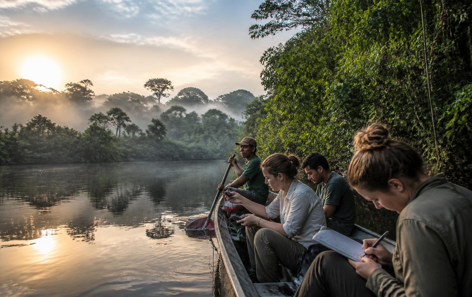 Field research in the Amazon rainforest