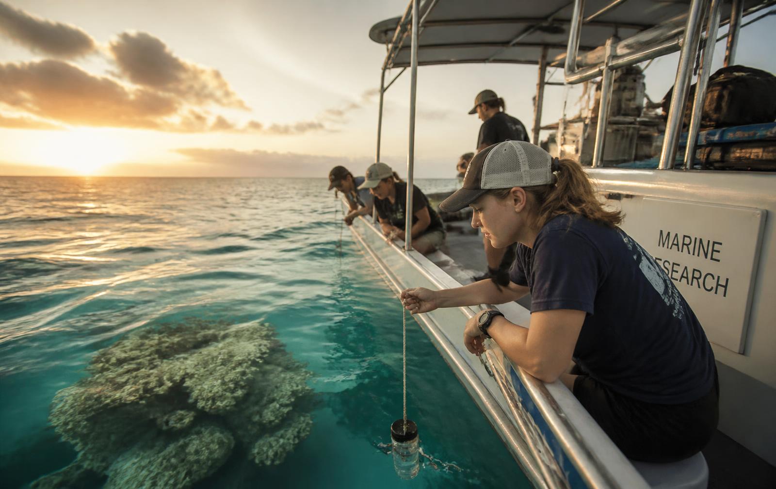 Marine research in the Caribbean Sea